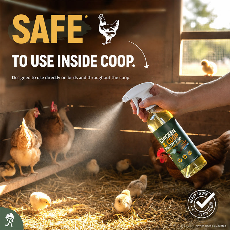 ❄️Summer Special: 50% Off!🐔Poultry & Chicken Coop Mite and Lice Spray – Ready to Use