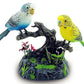 Electric Battery Operated Control Voice-Parrots