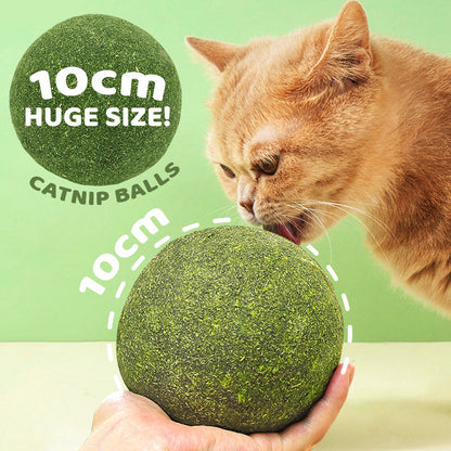2026 Bestseller🎉50% OFF! Super Big Catnip Balls😻Make Cats Go Wild!