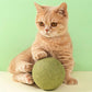 2026 Bestseller🎉50% OFF! Super Big Catnip Balls😻Make Cats Go Wild!