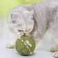 2026 Bestseller🎉50% OFF! Super Big Catnip Balls😻Make Cats Go Wild!