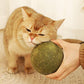 2026 Bestseller🎉50% OFF! Super Big Catnip Balls😻Make Cats Go Wild!