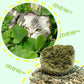2026 Bestseller🎉50% OFF! Super Big Catnip Balls😻Make Cats Go Wild!