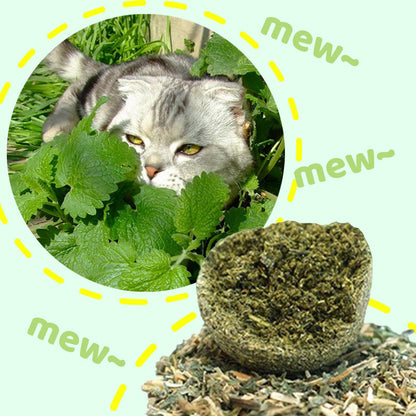 2026 Bestseller🎉50% OFF! Super Big Catnip Balls😻Make Cats Go Wild!