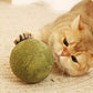 2026 Bestseller🎉50% OFF! Super Big Catnip Balls😻Make Cats Go Wild!