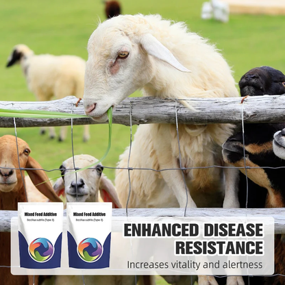 Probiotic & Enzyme Feed Additive