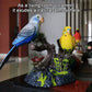 Electric Battery Operated Control Voice-Parrots