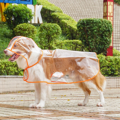 💥2026 HOT SALE💞50K+ SOLD! ✨ 50% OFF!💥Transparent Raincoat For Dog