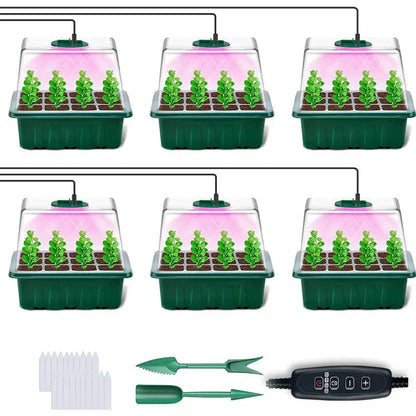 🔥50% discount while stocks last!🎉Seed starter trays with grow light