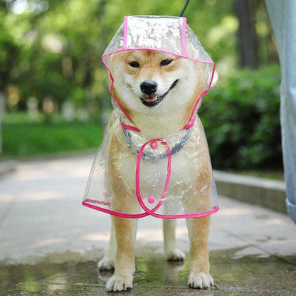 💥2026 HOT SALE💞50K+ SOLD! ✨ 50% OFF!💥Transparent Raincoat For Dog