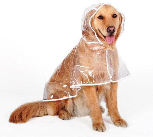 💥2026 HOT SALE💞50K+ SOLD! ✨ 50% OFF!💥Transparent Raincoat For Dog