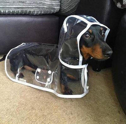 💥2026 HOT SALE💞50K+ SOLD! ✨ 50% OFF!💥Transparent Raincoat For Dog