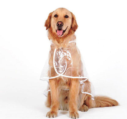 💥2026 HOT SALE💞50K+ SOLD! ✨ 50% OFF!💥Transparent Raincoat For Dog