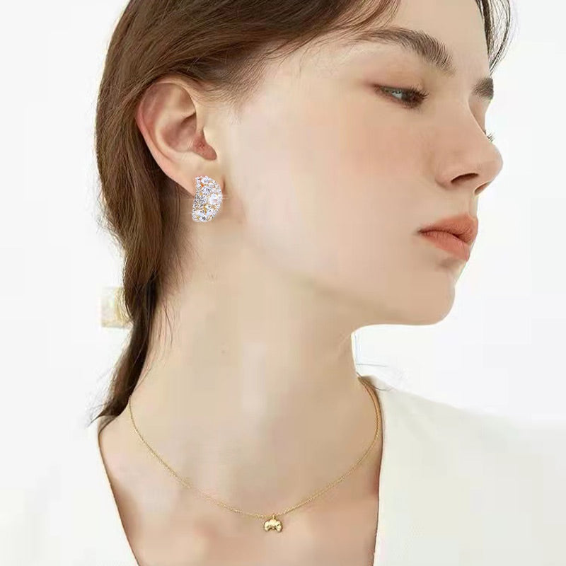 🎁Lab-Created Diamonds Hoop Earrings （Buy 1 Get 1 Free）