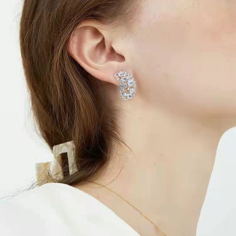 🎁Lab-Created Diamonds Hoop Earrings （Buy 1 Get 1 Free）