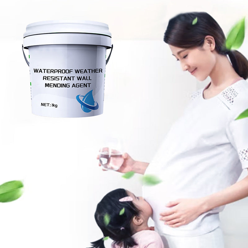 Waterproof Weather Resistant Wall Mending Agent