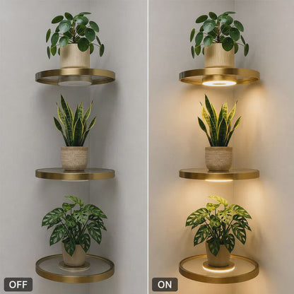 🎉 2026 Sale — Over 39,000 Sold!✨ Floating Shelf with Built-in LED Light