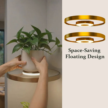 🎉 2026 Sale — Over 39,000 Sold!✨ Floating Shelf with Built-in LED Light