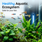 Hot Sale 50% OFF🔥 Plug. Submerge. Clear. UV Aquarium Sterilizer – 254nm, Quartz, 3-7 Days ✨