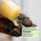🔥Hot Sale 50% OFF🔥 Moisturizing Pet Paw Balm Stick – Coconut & Beeswax, Lick-Safe, No-Mess 🐾