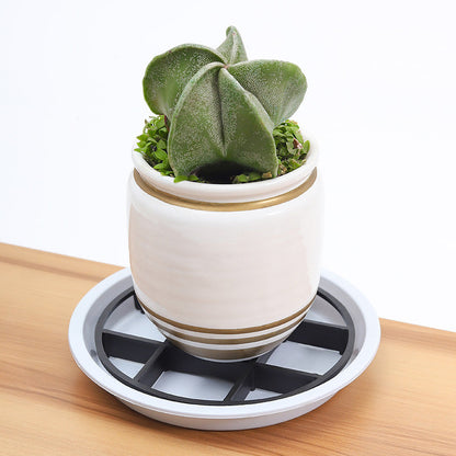 🌱 LIMITED-TIME 50% OFF! 💨 Root-Saving Pot Riser – Boost Airflow, Protect Floors, Indoor & Outdoor ✨