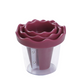 🥕✨ Manual Vegetable Spiralizer and Curler for Rose Flower Carving – Turn Carrots into Restaurant-Style Roses in 60 Seconds! 🌹🍽️