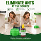 🔥50% OFF! Reusable Outdoor Ant & Termite Bait Station