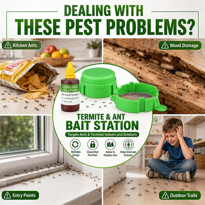 🔥50% OFF! Reusable Outdoor Ant & Termite Bait Station