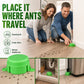 🔥50% OFF! Reusable Outdoor Ant & Termite Bait Station