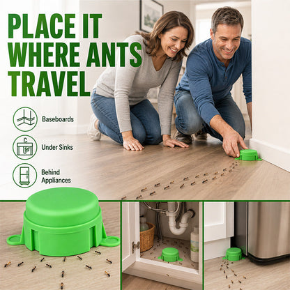 🔥50% OFF! Reusable Outdoor Ant & Termite Bait Station