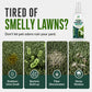 🥳HOT SALE! Artificial Turf Freshener Spray✨