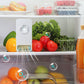 Electronic Refrigerator Odor Eliminator
