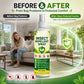 Plant-Based Insect Repellent Spray
