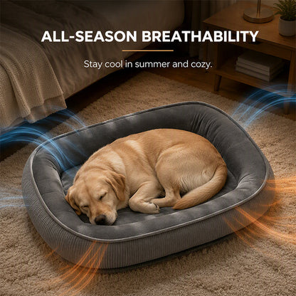 🛋️🐾All-Season Bolster-Style Pet Bed | Dual-Texture Fabric Provides Cozy Rest All Year Round🪑