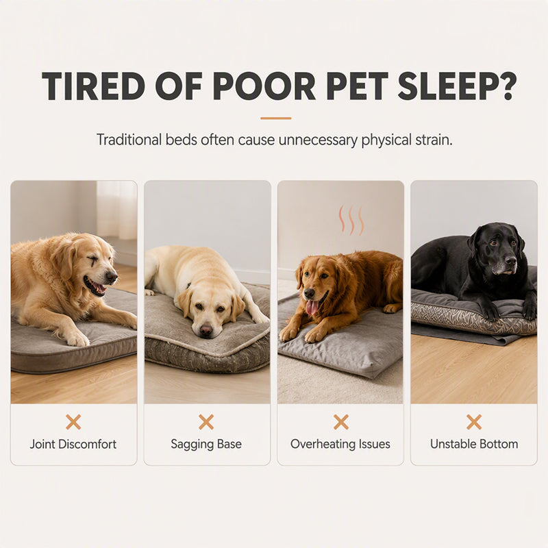 🛋️🐾All-Season Bolster-Style Pet Bed | Dual-Texture Fabric Provides Cozy Rest All Year Round🪑
