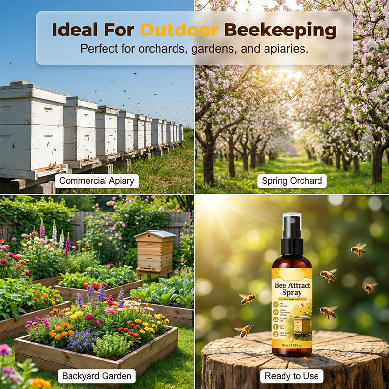 🐝HOT SALE!Natural Outdoor Bee Attractant Spray