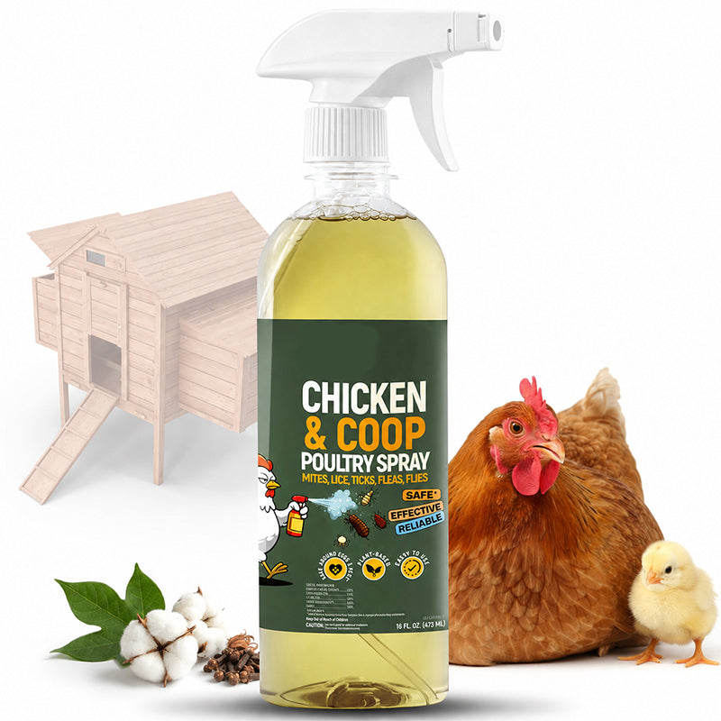 ❄️Summer Special: 50% Off!🐔Poultry & Chicken Coop Mite and Lice Spray – Ready to Use
