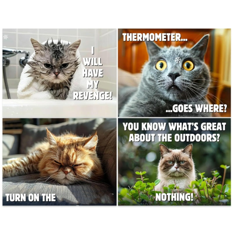 🐱 Funny Cat Calendar – 12 Months of Sassy Cat Humor