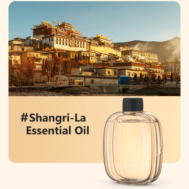 🎁Gift Idea Hot Sale 50% OFF🌸Automatic Aromatherapy Diffuser