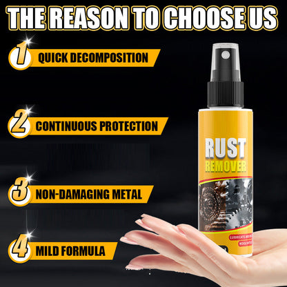 Multi-Purpose Efficient Mild Rust Remover Spray