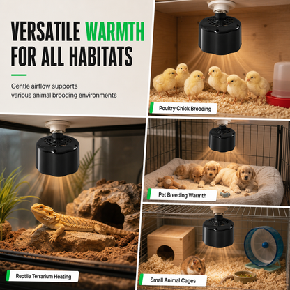 Pet Heat Lamp with Temperature Control