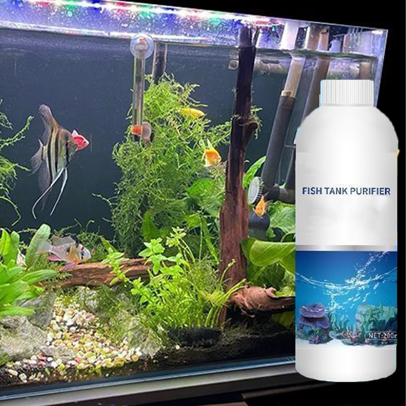 Safe & Effective Fish Tank Water Treatment
