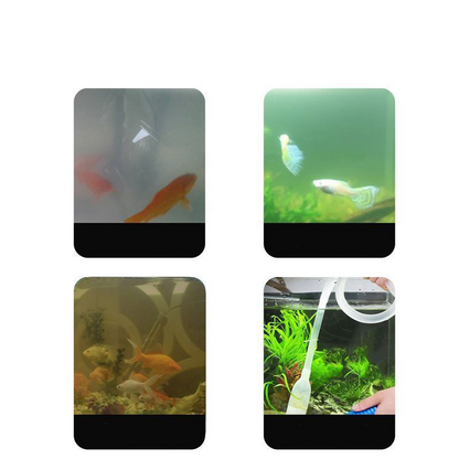 Safe & Effective Fish Tank Water Treatment